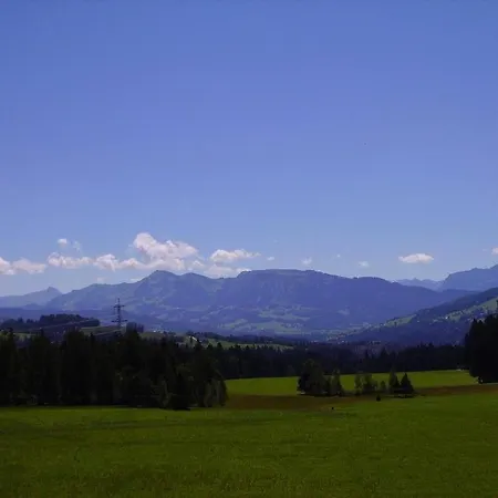 Lerch *