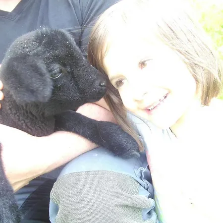 Lerch Apartman Bregenz