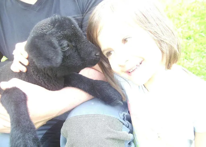 Lerch Apartman Bregenz